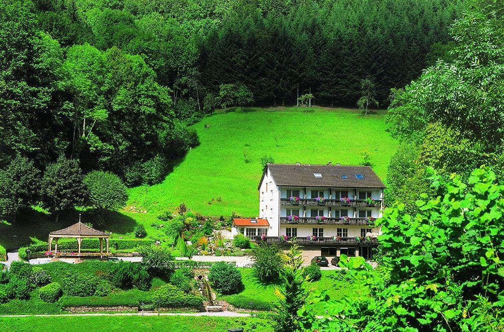 Flair Hotel Adlerbad Bad Peterstal-Griesbach Ngoại thất bức ảnh